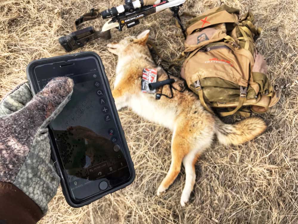 coyote hunting app