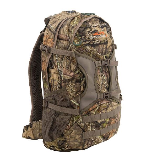 Alps Outdoorz Trail Blazer backpack