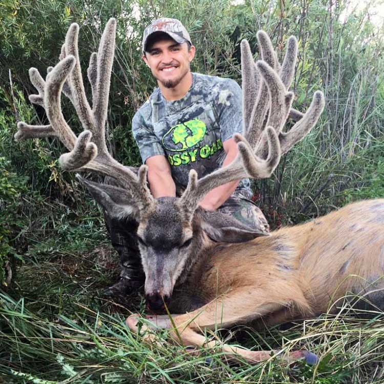 Alex Pena CO mule deer