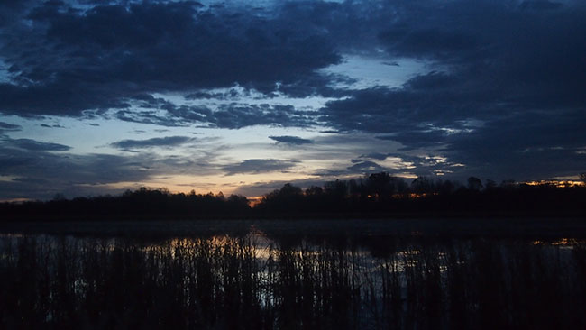 Arkansas Duck Hunting