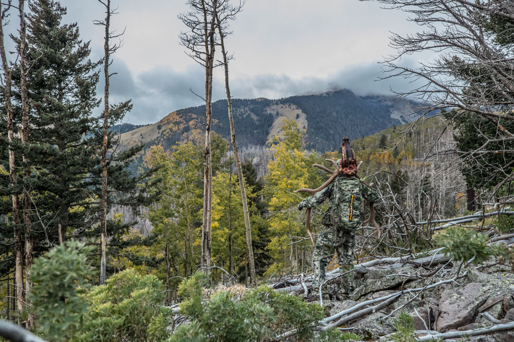 backcountry hunter