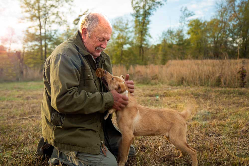 Bill Gibson training puppy