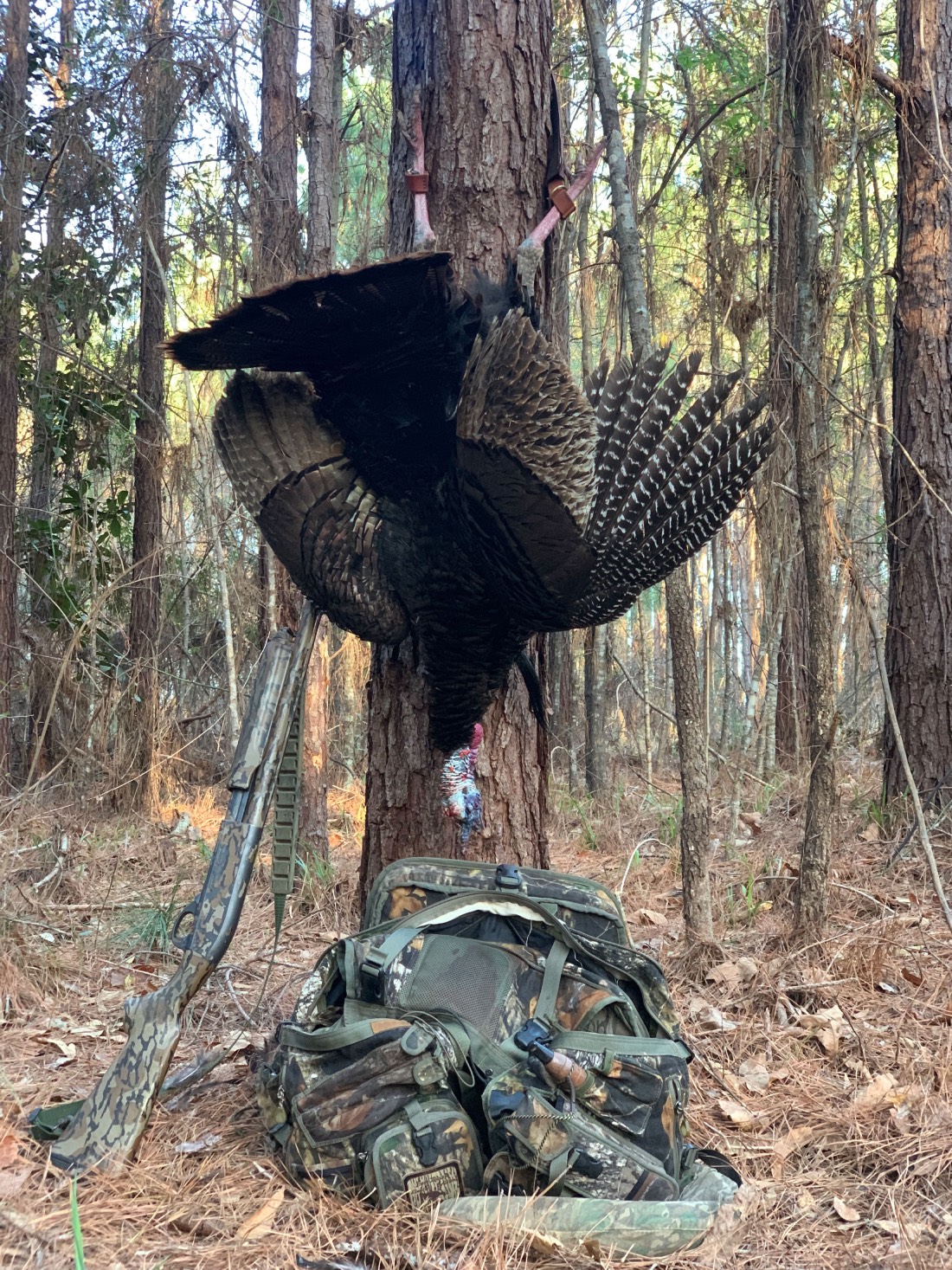 Bob Dixon vest Will Dixon with turkey