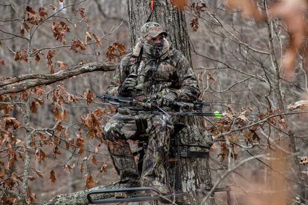 Hunter in treestand