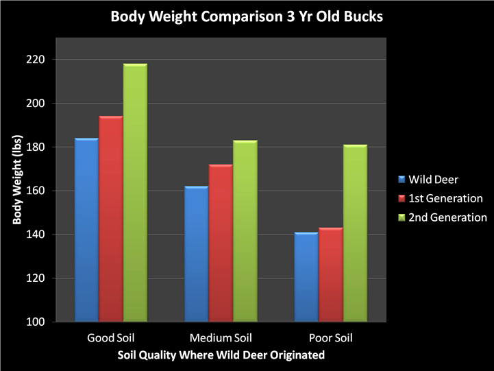deer body weight comparison graph