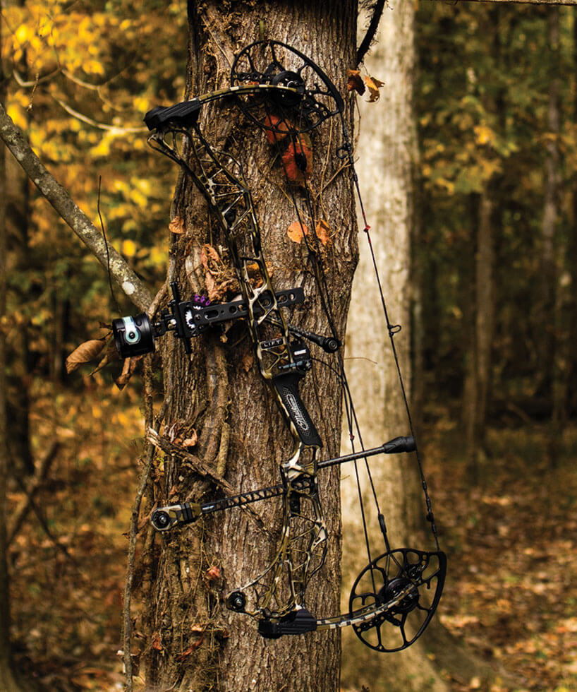 mathews bow