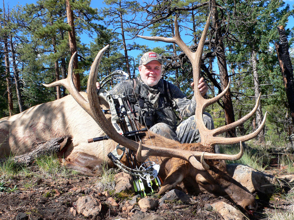 bowhunter with bull elk