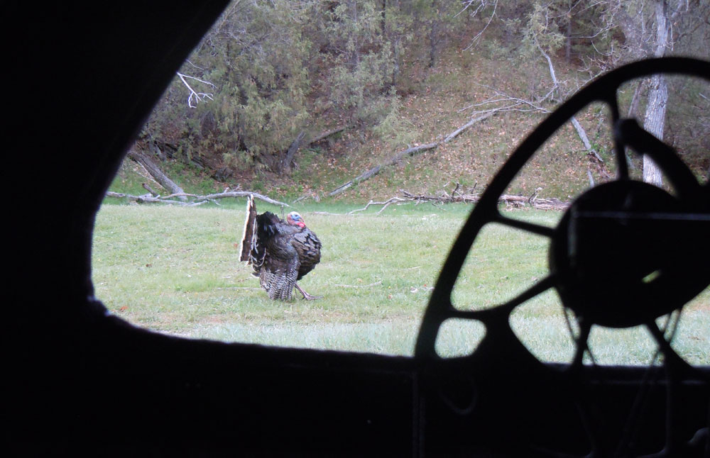 bowhunting turkeys ground blind