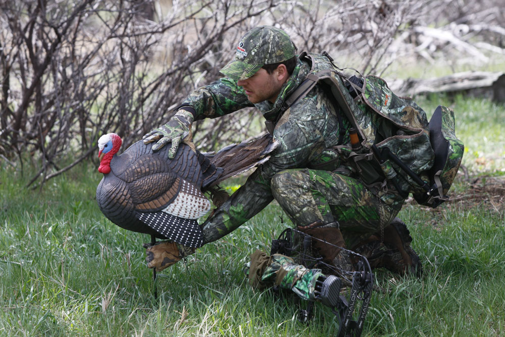 bowhunting turkeys decoy