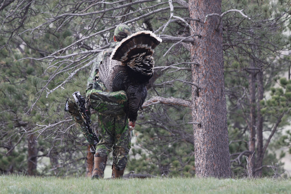 bowhunting turkeys