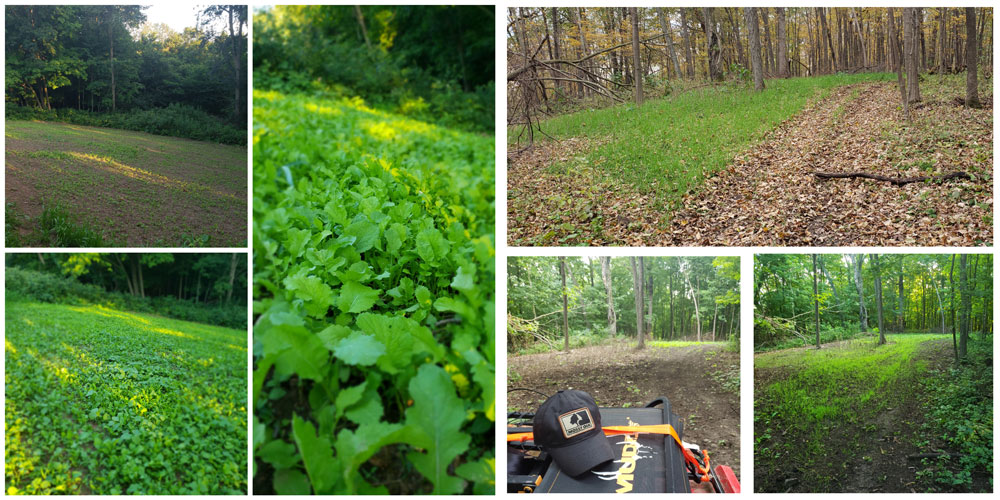 Brady Conner food plots