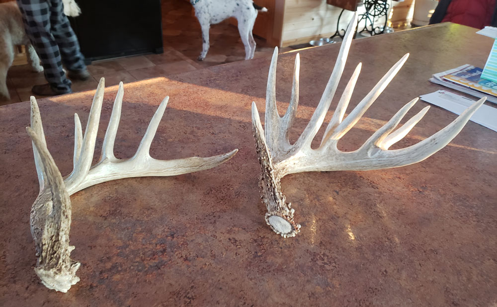 Brady Conner buck sheds