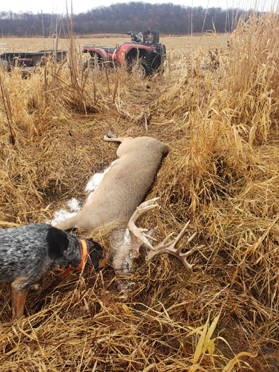 Brady Conner tracking dog