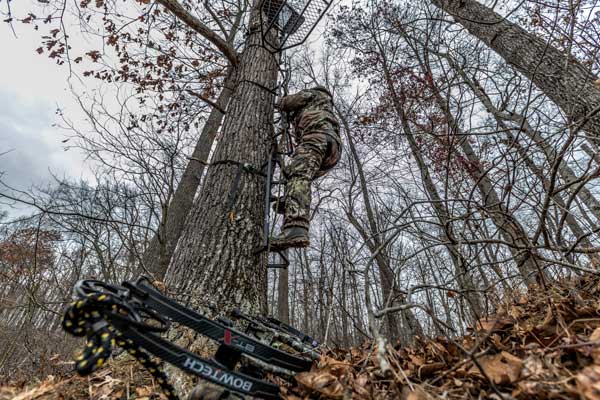 hunter climbing a treestand
