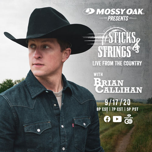Brian Callihan Sticks & Strings