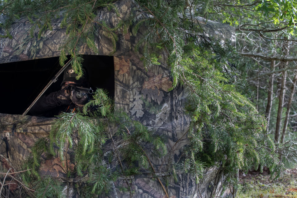 brushed in ground blind