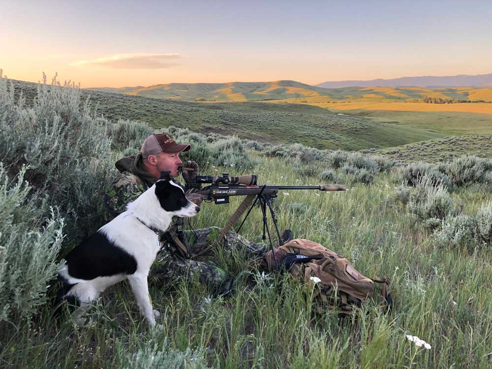 Mark Kayser coyote hunting with dog