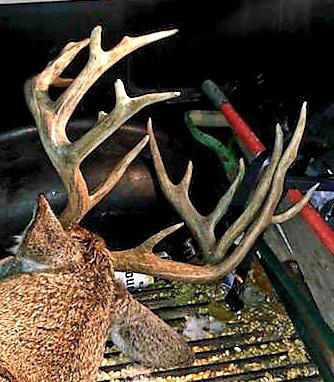 Ernie Calandrelli non-typical buck