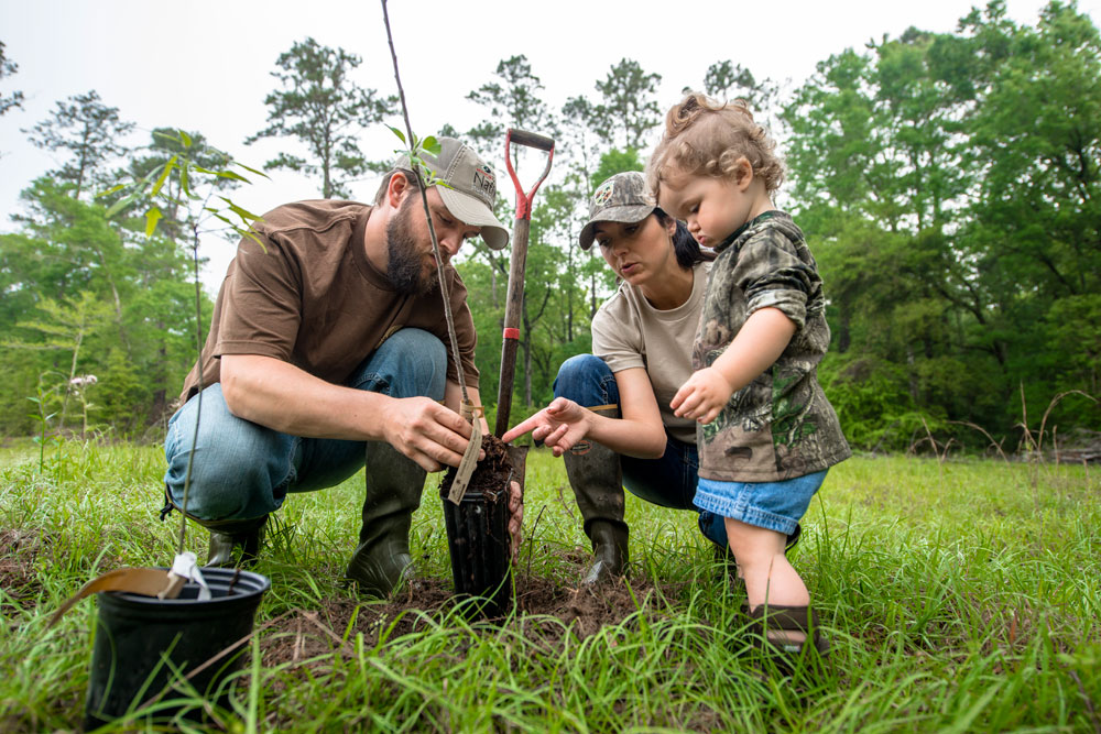 planting tree with child