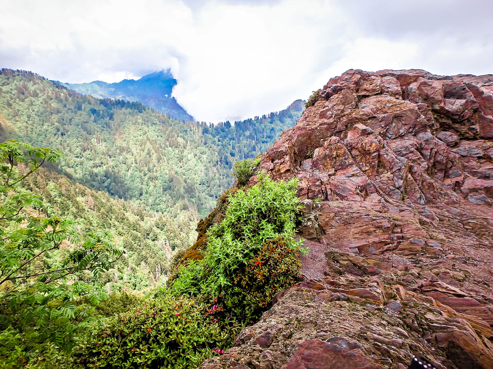 Charlie's Bunion Trail