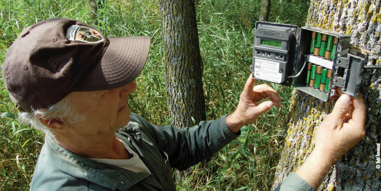 Gamekeeper Checking Trail Camera on Property Line