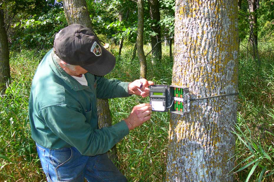 checking trail camera batteries