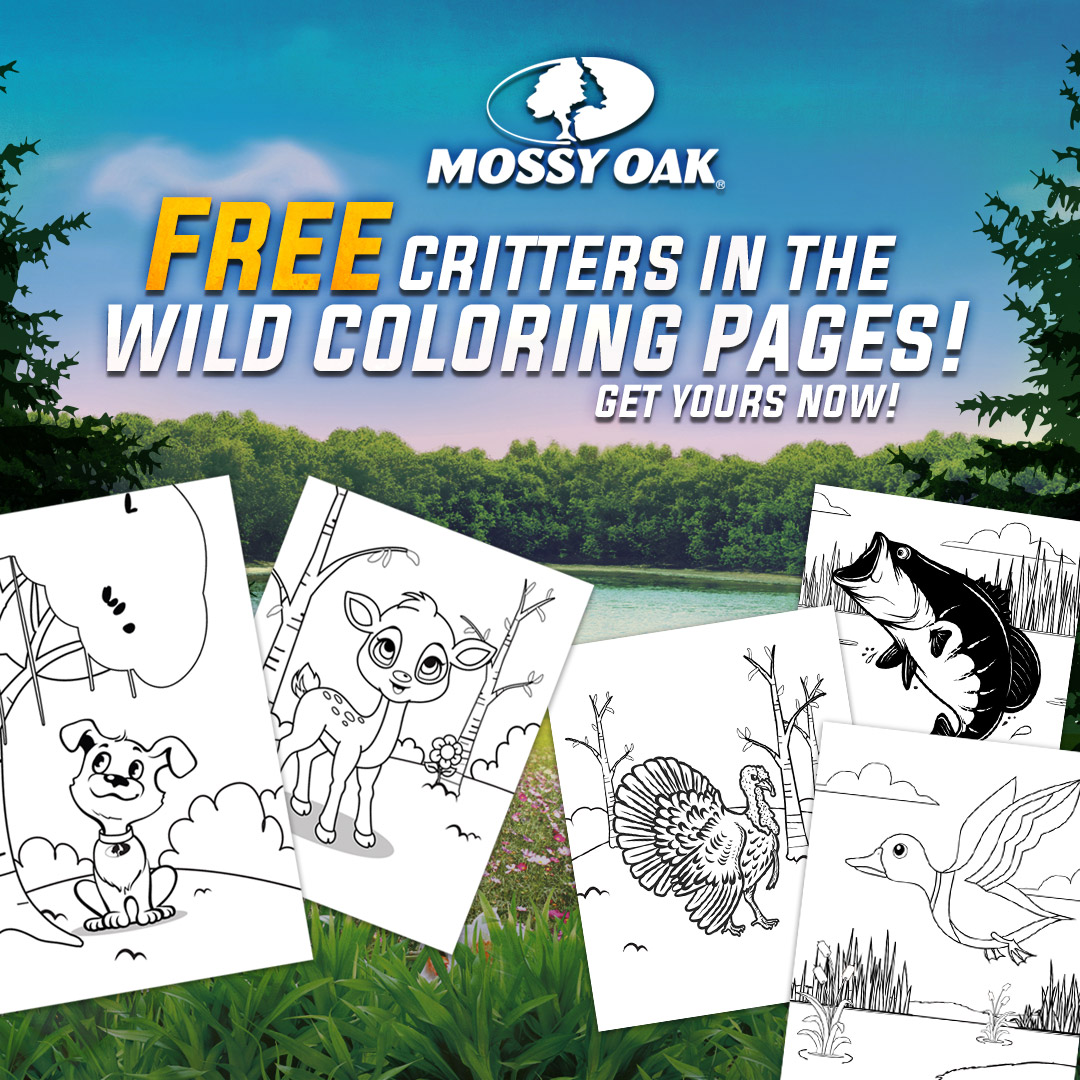 Free critters in the wild coloring pages! Gte yours now!