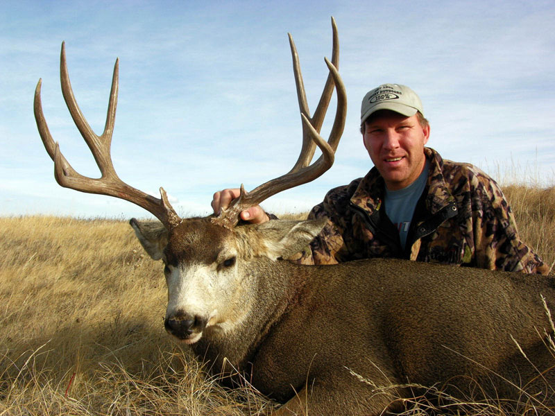 Corey Jarvis mule deer