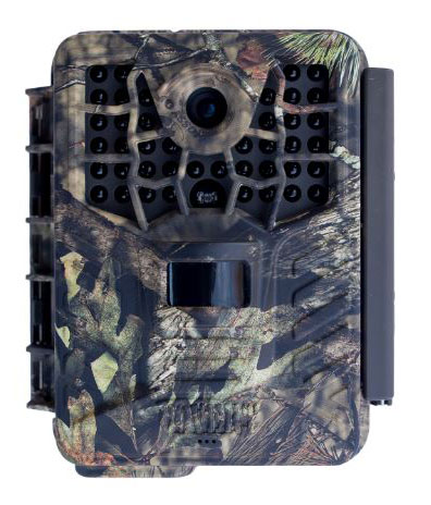 covert trail camera