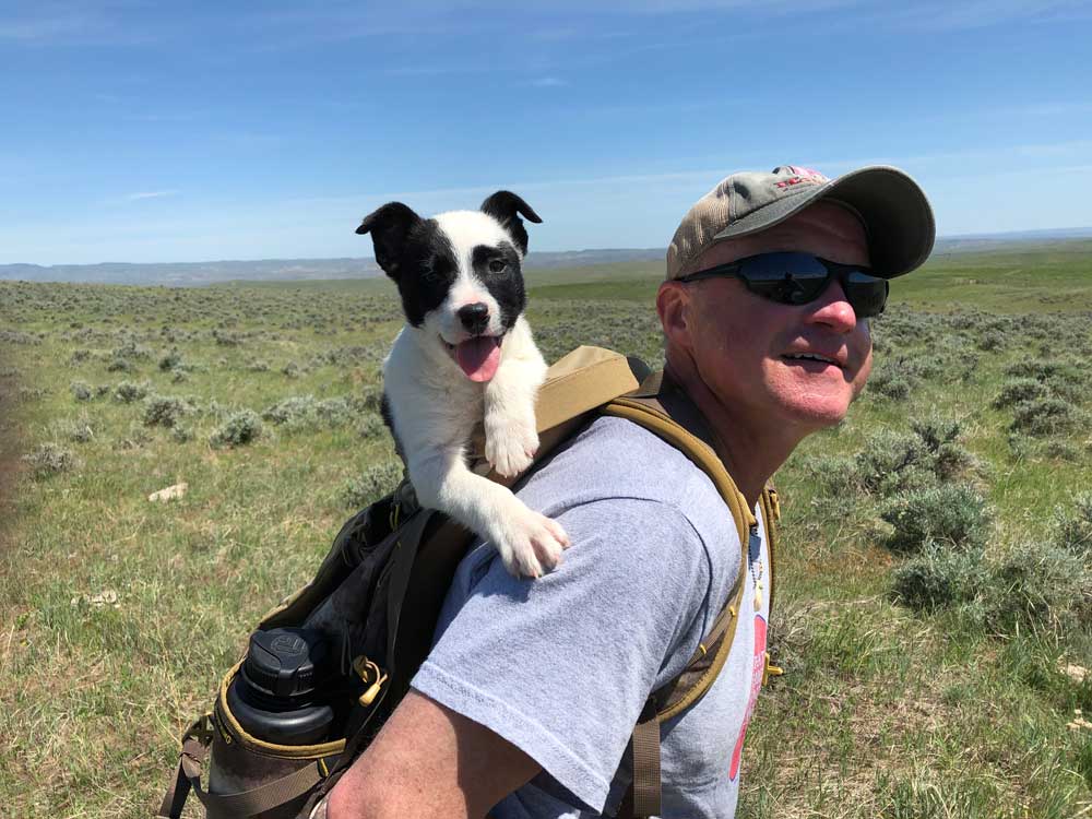 Mark Kayser coyote hunting with dog