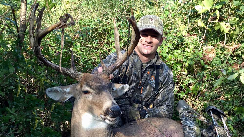 early season whitetail buck