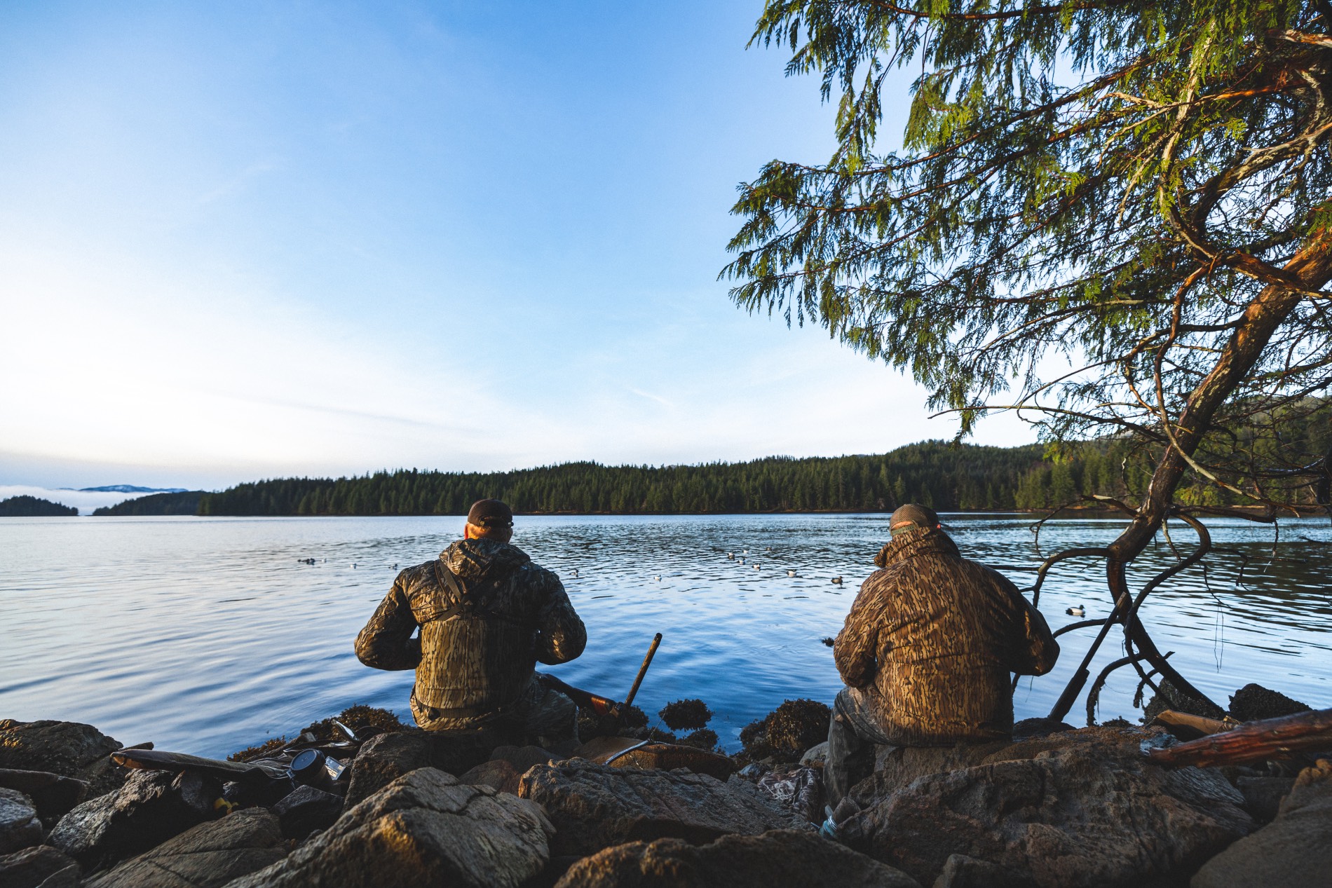 waiting for ducks