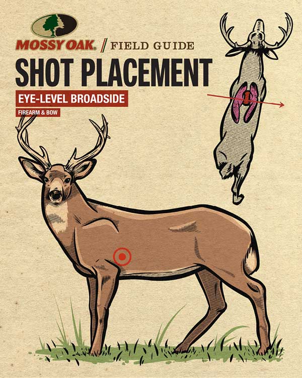 Deer Shot Placement Eye Level Broadside
