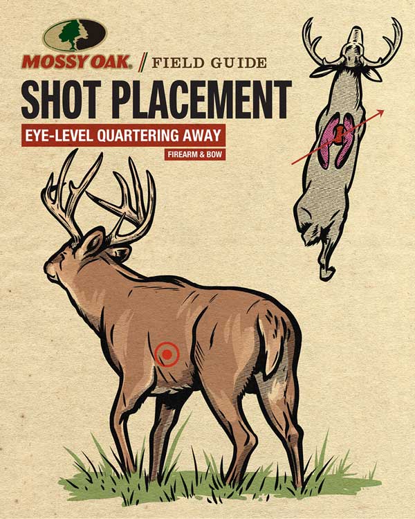 Deer Shot Placement Eye Level Quartering Away