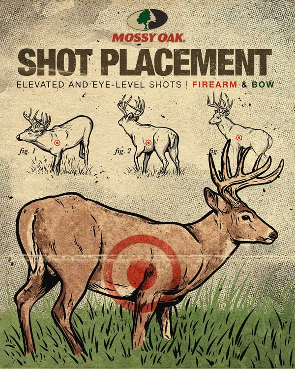 Deer Shot Placement Guide
