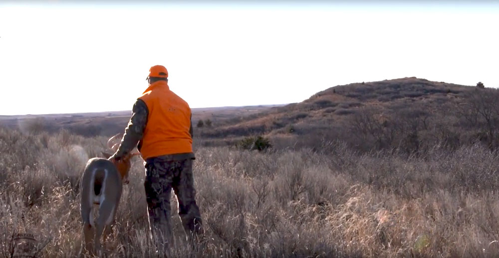 deer decoy setup