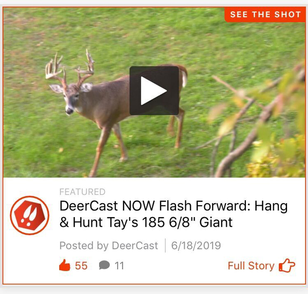 Deercast Now