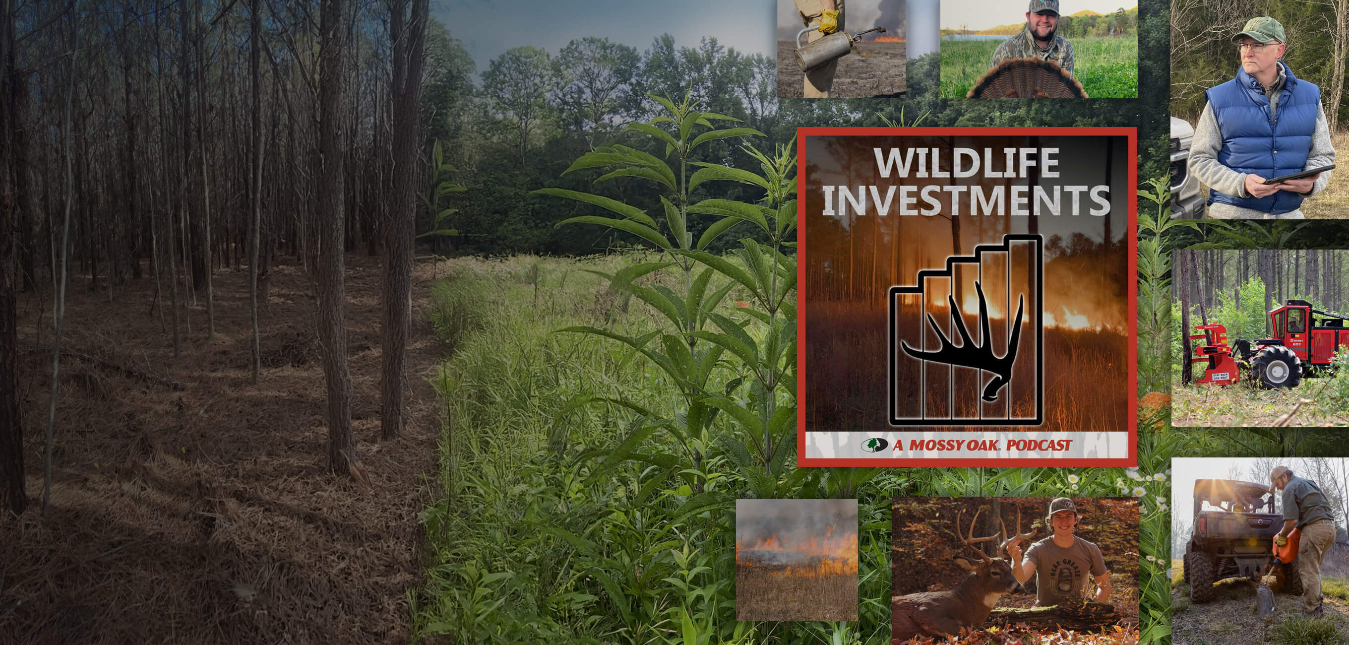 Wildlife Investments Podcast