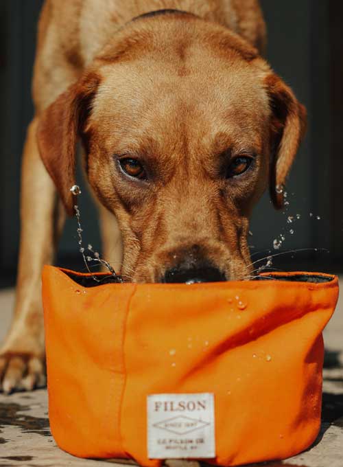 lab drinking water