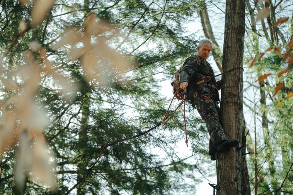 John Eberhart tree saddle hunting