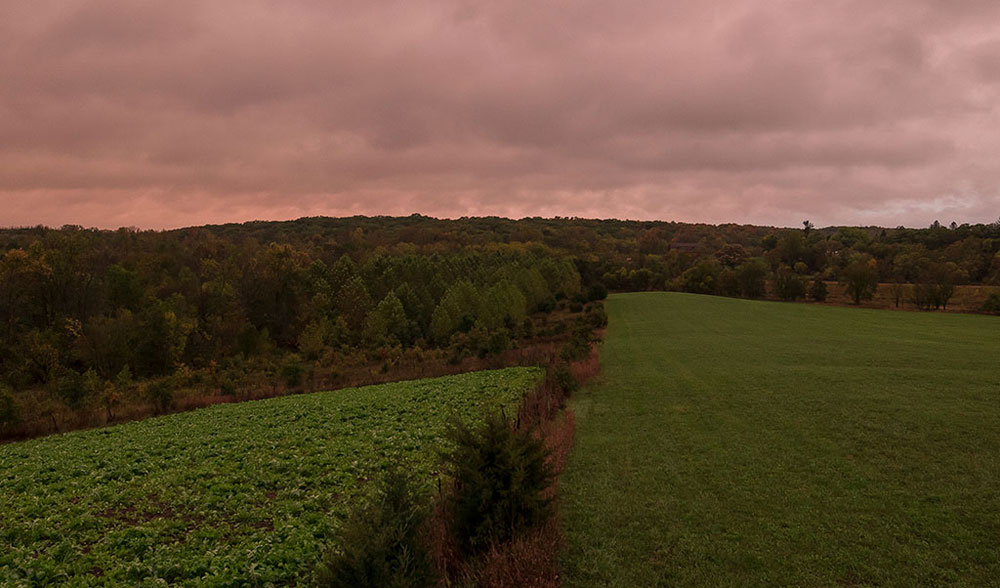 Food plot plan