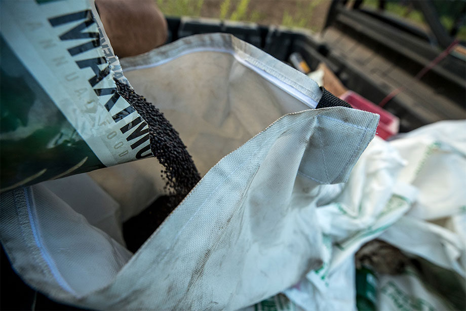 Food Plot Planting Rates