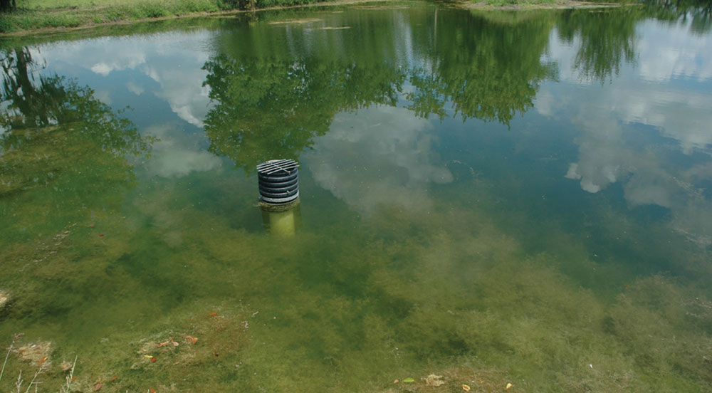 fertilizing pond