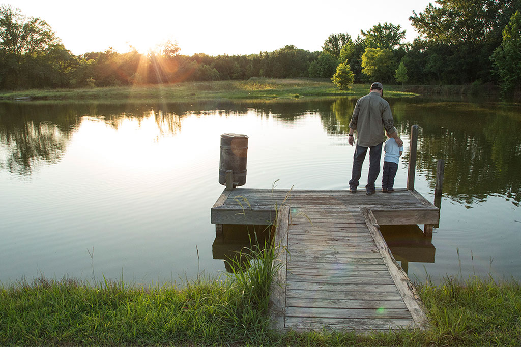 pond health