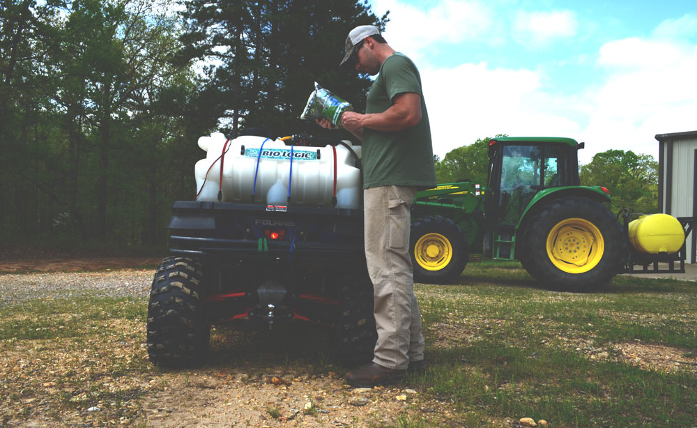 spraying clover