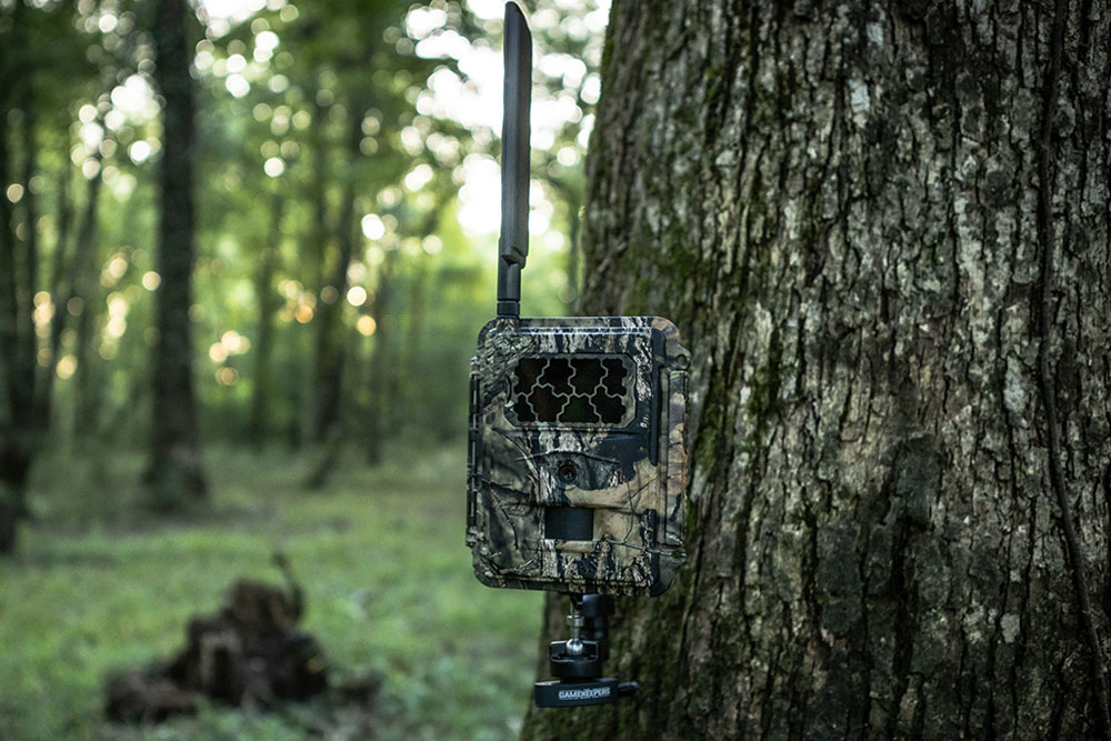 trail camera