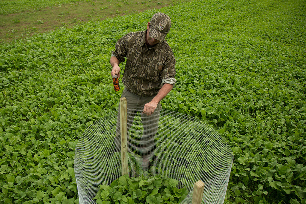 food plot utilization cage