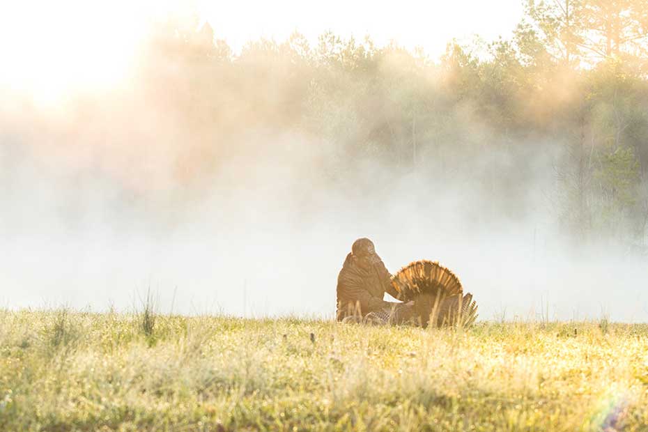 turkey hunting photo