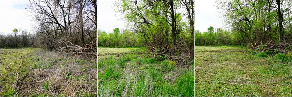 field clearing