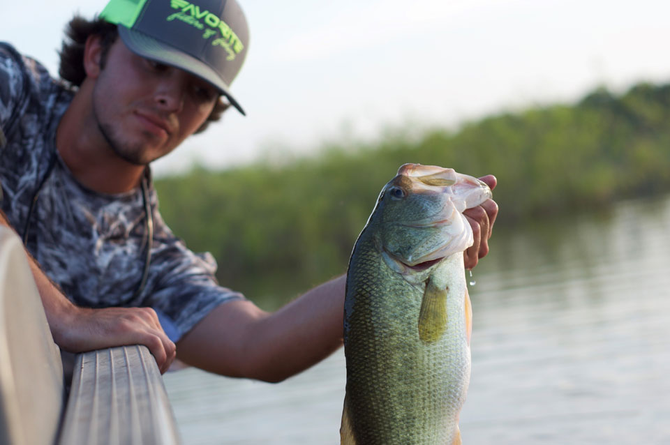 bass fishing with tungsten